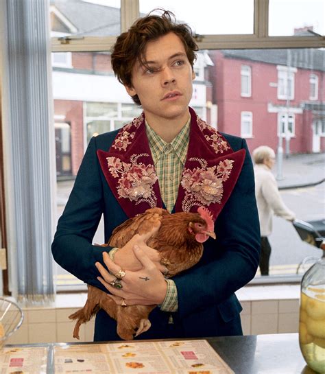 harry styles vogue dress gucci|harry styles gucci campaign.